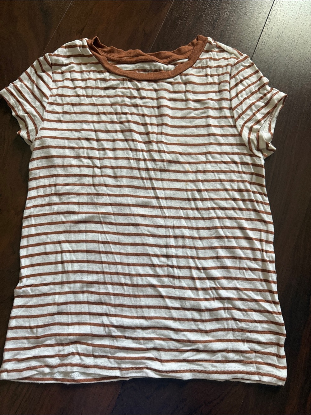 American Eagle Outfitters Rust and White Striped Short Sleeve Tee